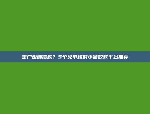 黑户也能借款？5个免审核的小额放款平台推荐