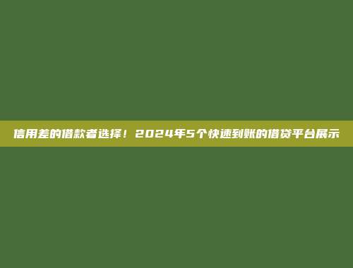 信用差的借款者选择！2024年5个快速到账的借贷平台展示