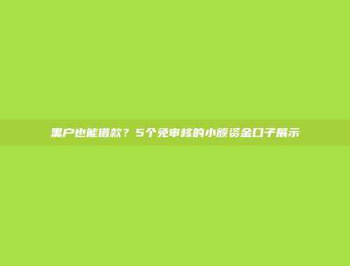 黑户也能借款？5个免审核的小额资金口子展示