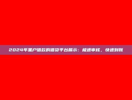 2024年黑户借款的借贷平台展示：极速审核，快速到账