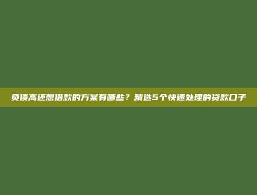 负债高还想借款的方案有哪些？精选5个快速处理的贷款口子