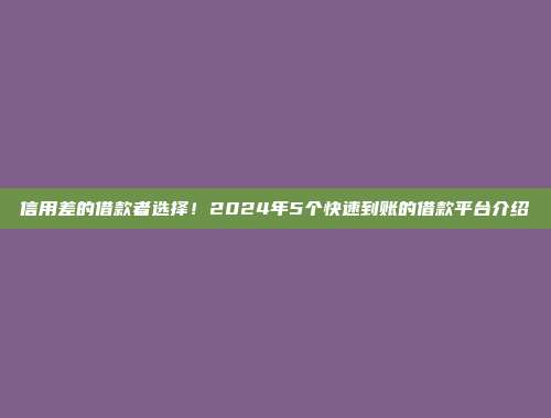 信用差的借款者选择！2024年5个快速到账的借款平台介绍