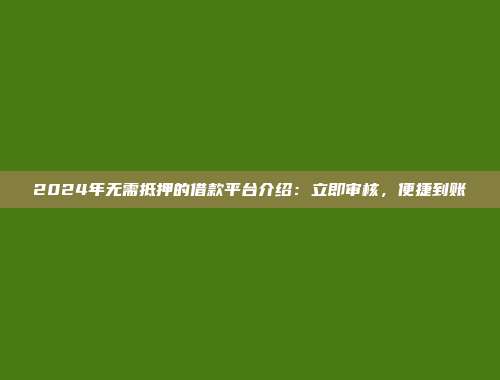 2024年无需抵押的借款平台介绍：立即审核，便捷到账