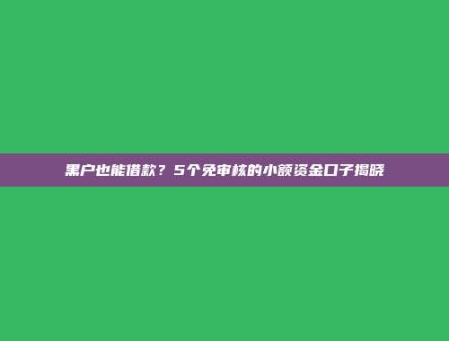 黑户也能借款？5个免审核的小额资金口子揭晓