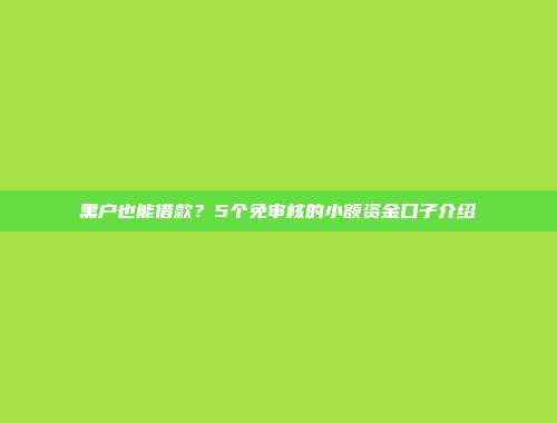 黑户也能借款？5个免审核的小额资金口子介绍