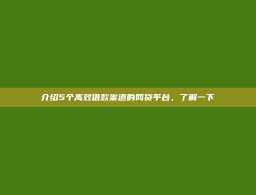 介绍5个高效借款渠道的网贷平台，了解一下