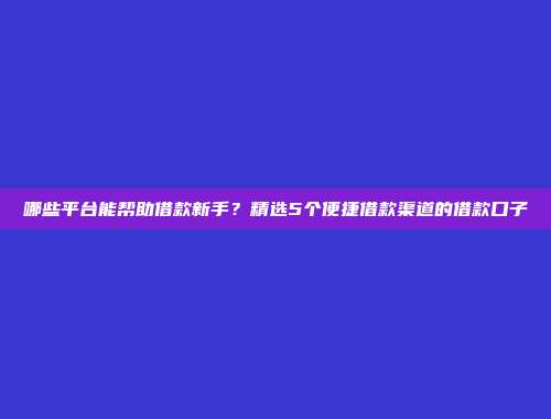 哪些平台能帮助借款新手？精选5个便捷借款渠道的借款口子