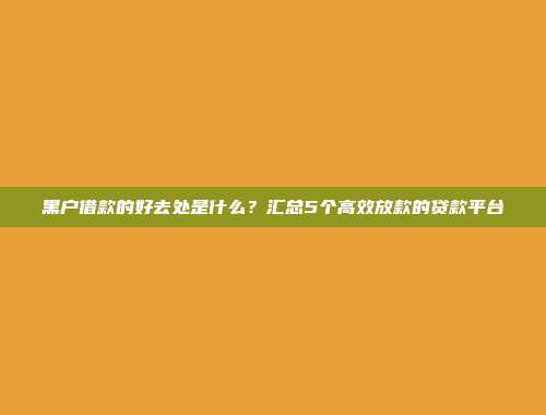 黑户借款的好去处是什么？汇总5个高效放款的贷款平台