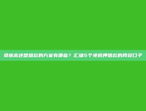 负债高还想借款的方案有哪些？汇编5个免抵押借款的网贷口子