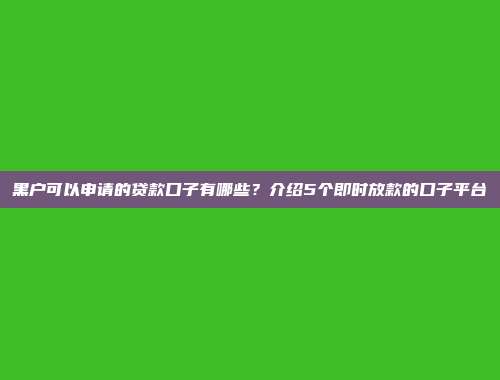 黑户可以申请的贷款口子有哪些？介绍5个即时放款的口子平台