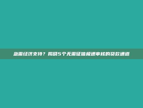 急需经济支持？揭晓5个无需征信极速审核的贷款通道